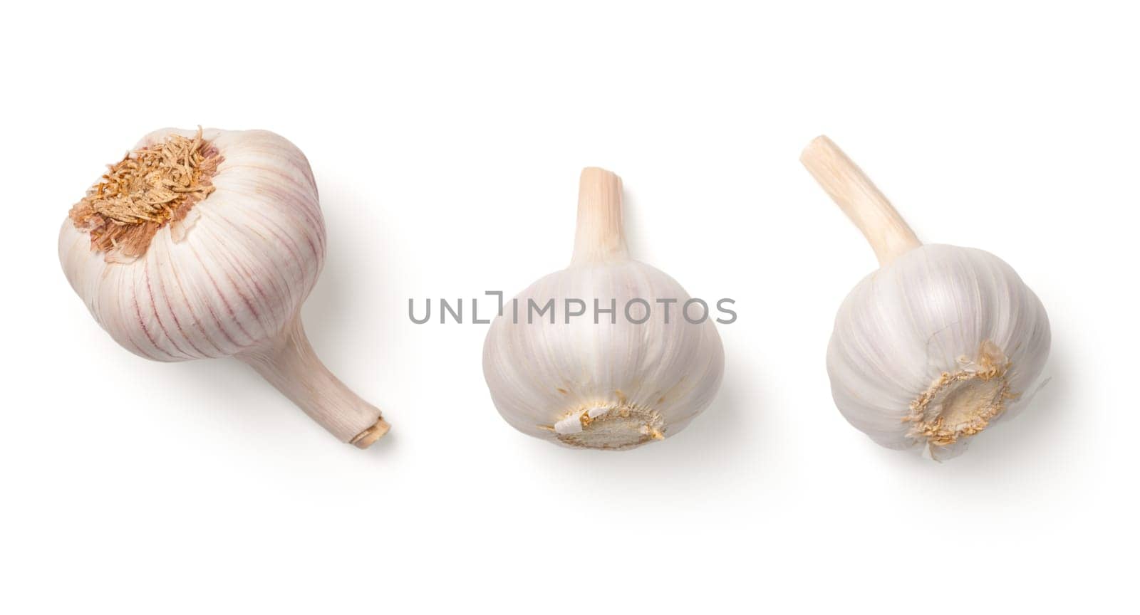 Garlic isolated on white background. Top view