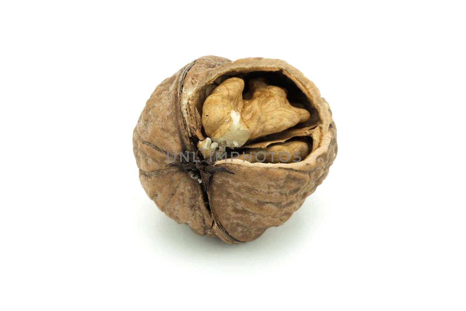 Walnut isolated,fruit with broken peel on a white background