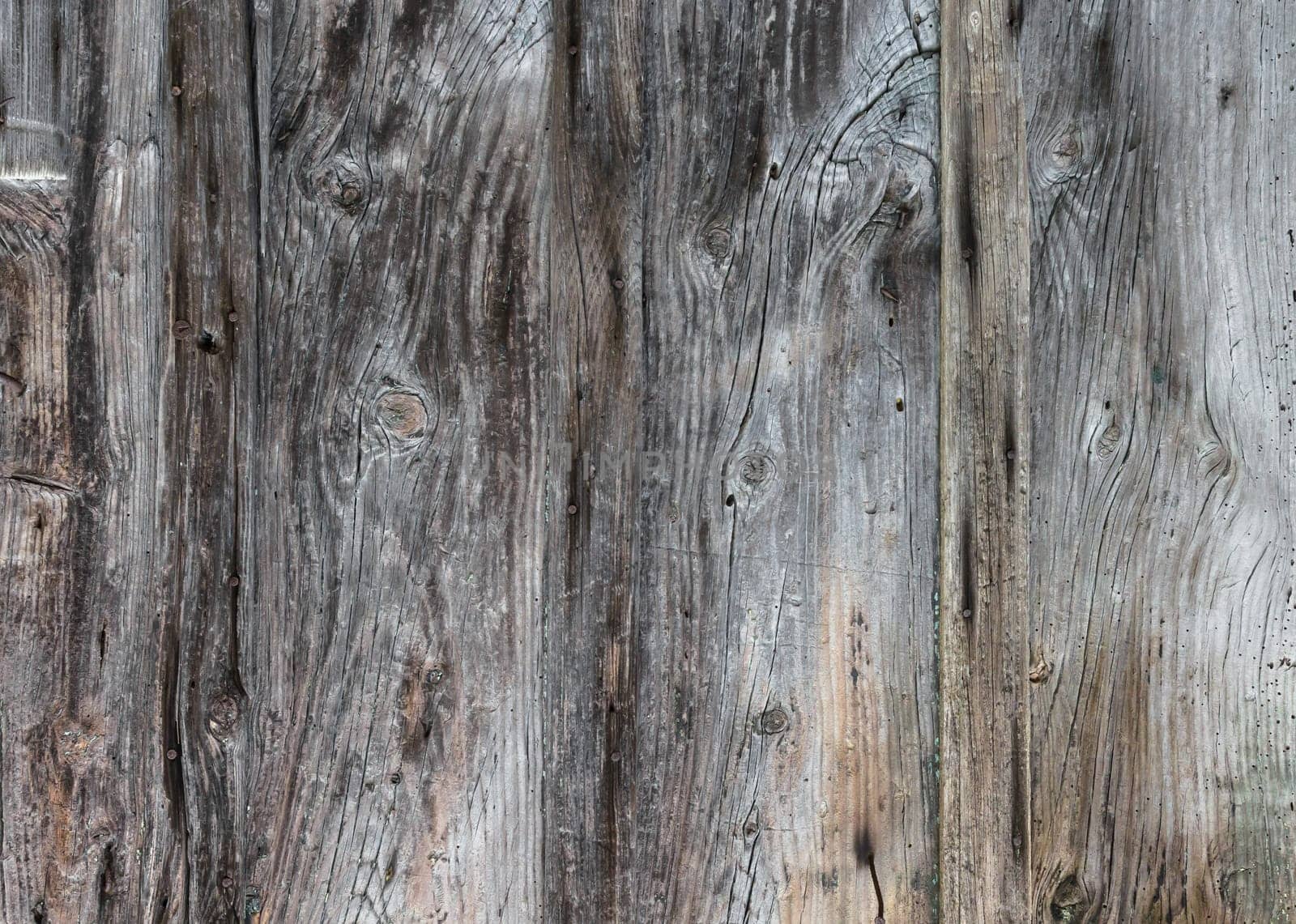 Wood plank texture for your background
