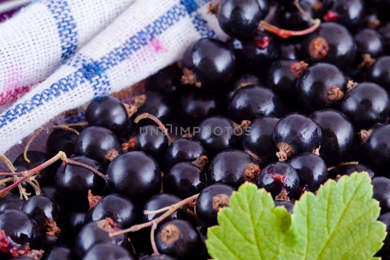 black currants fruits with green leaf and white tablecloth