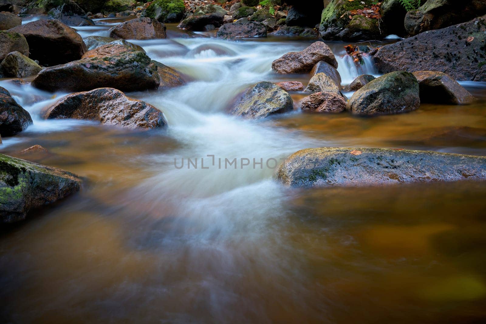 The river Ilse near Ilsenburg at the foot of the Brocken in the Harz National Park