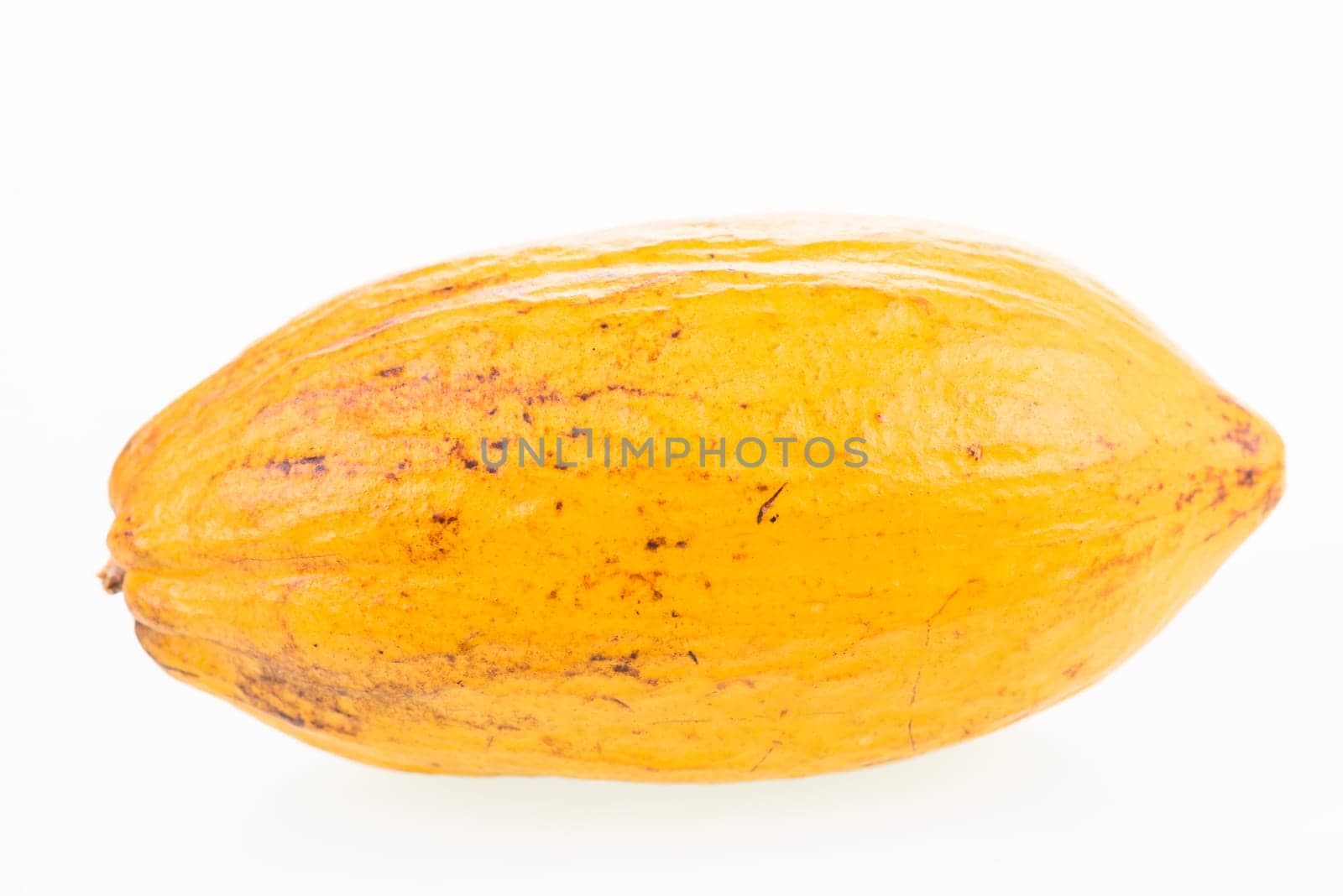 Fresh Cocoa Pod
