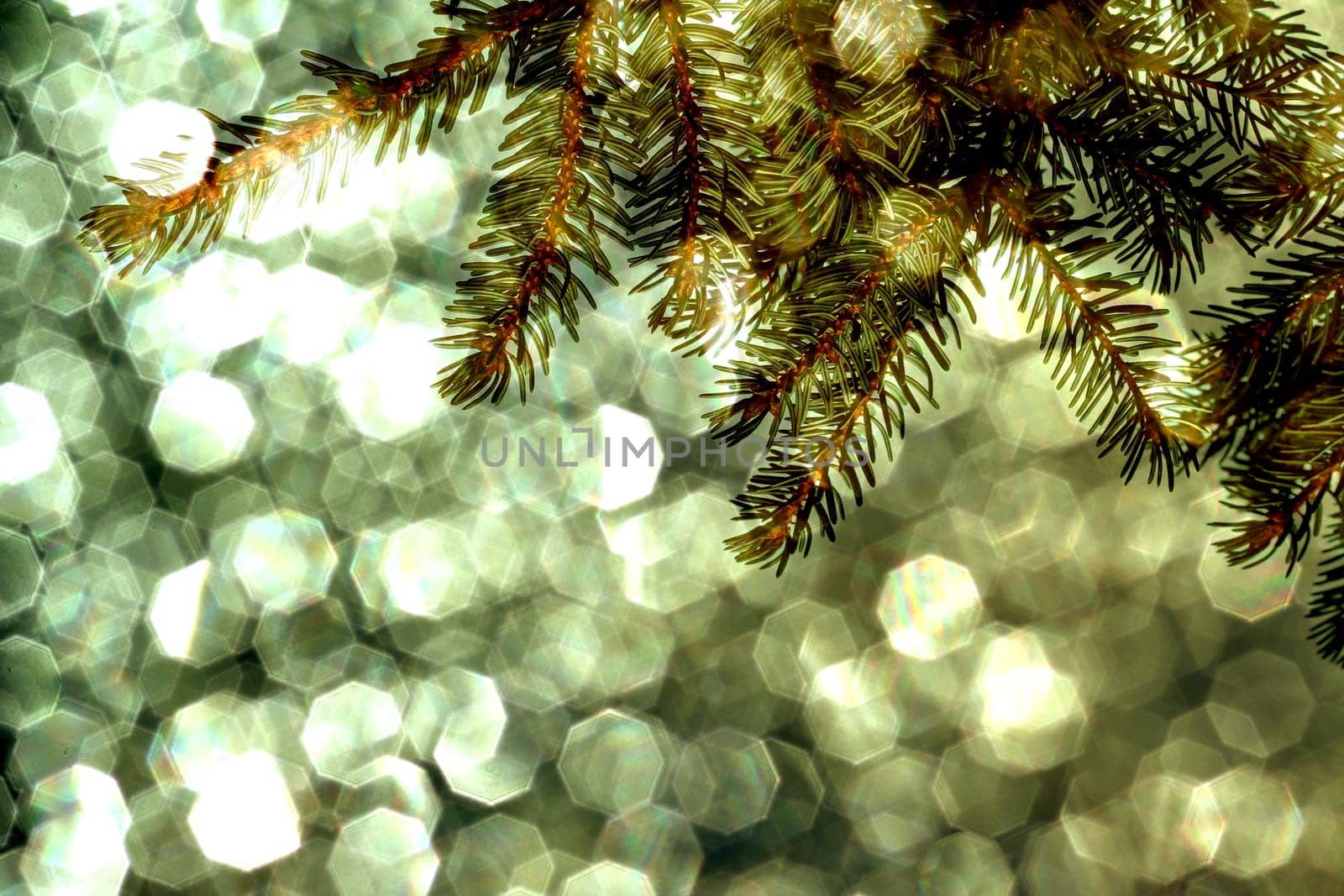 Christmas background - fir branch against a golden glittering background
