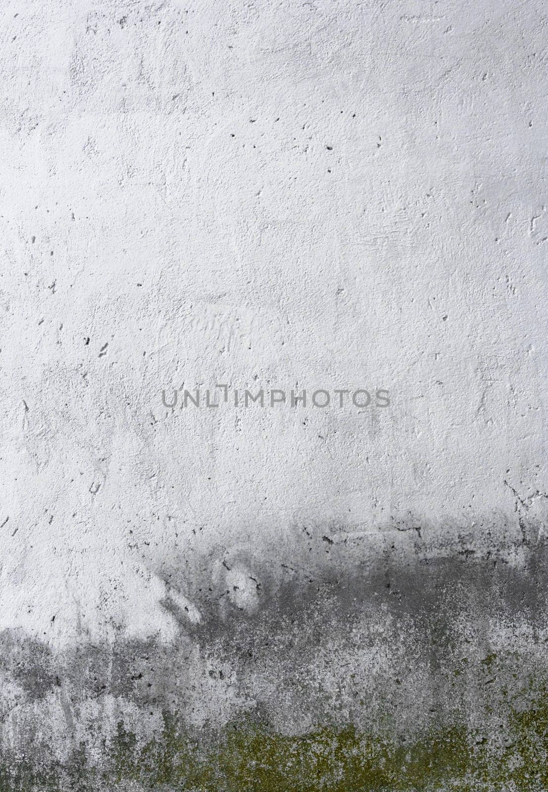 Dirty fungus or mold on the wall texture background