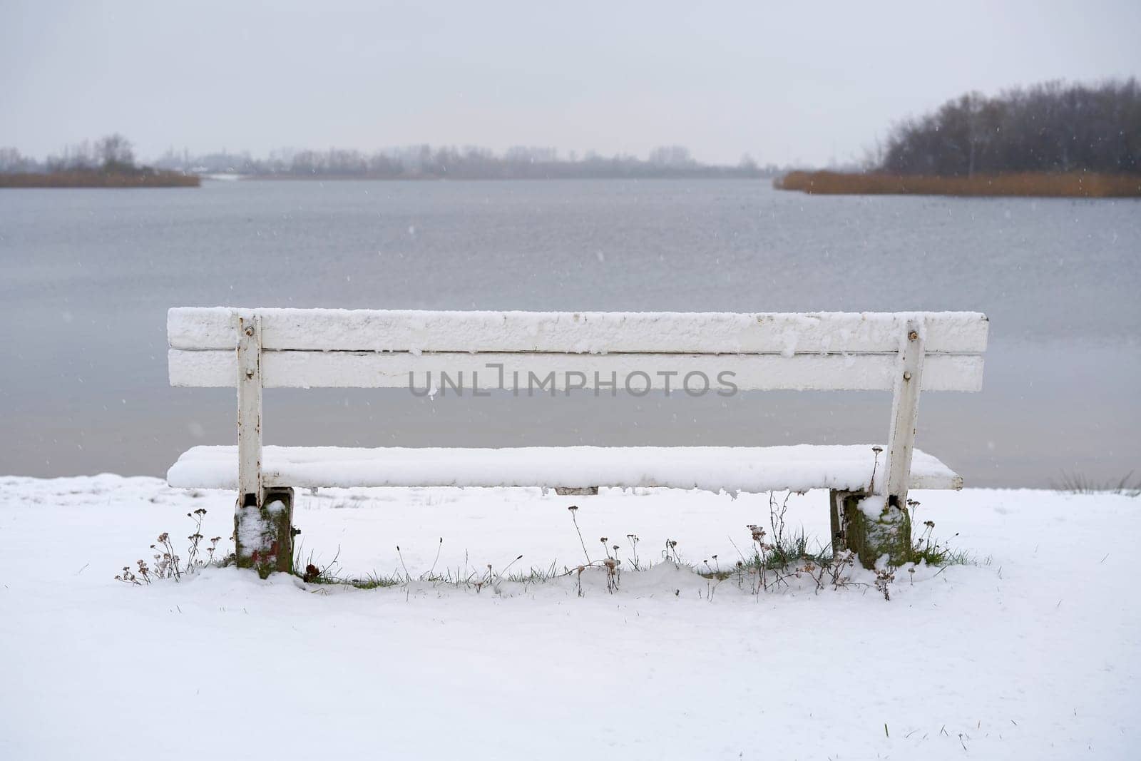 white bench with snow on a lake in Magdeburg in winter