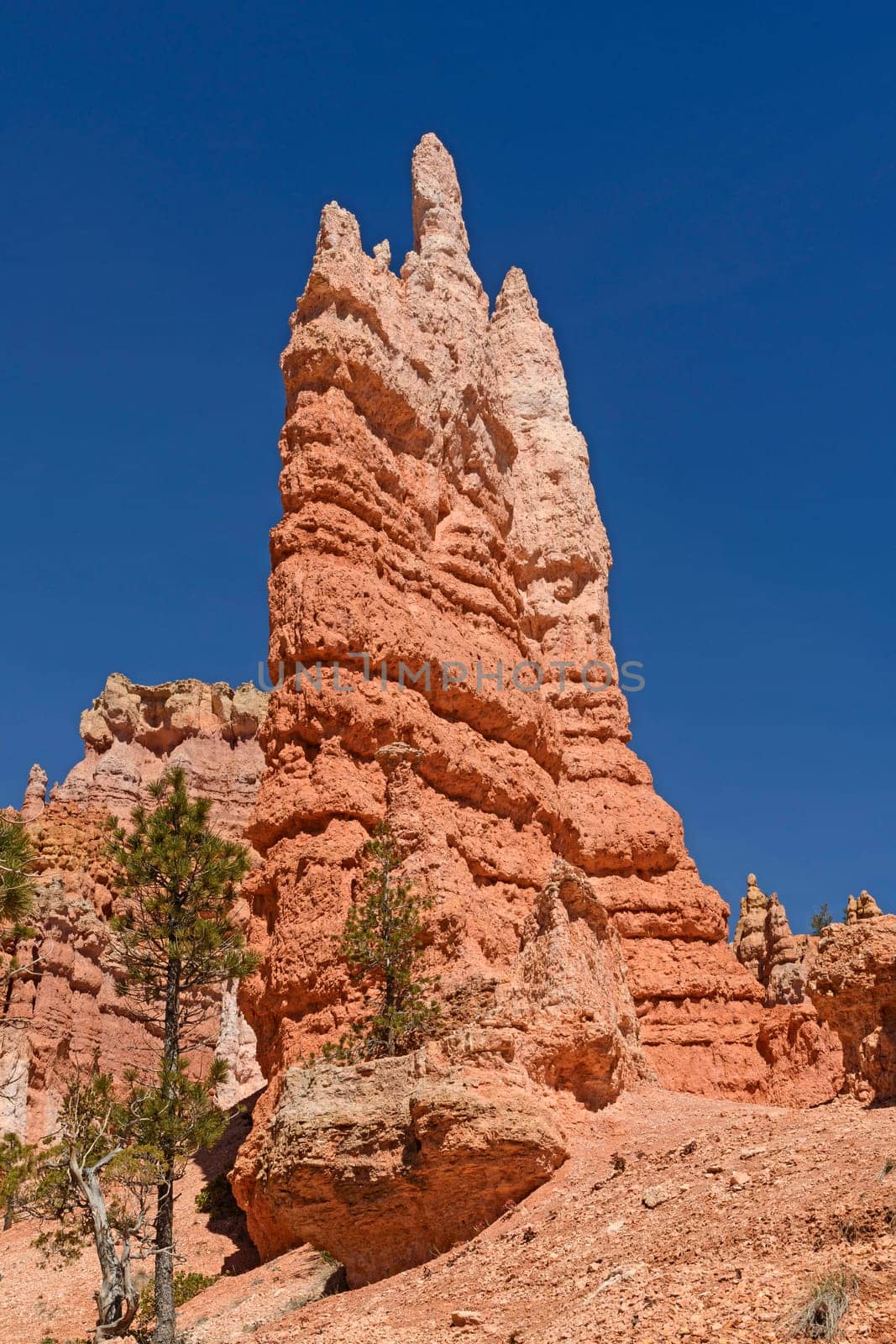 Dramatic Spire in the Mountains of Bryce Canyon National Park in Utah