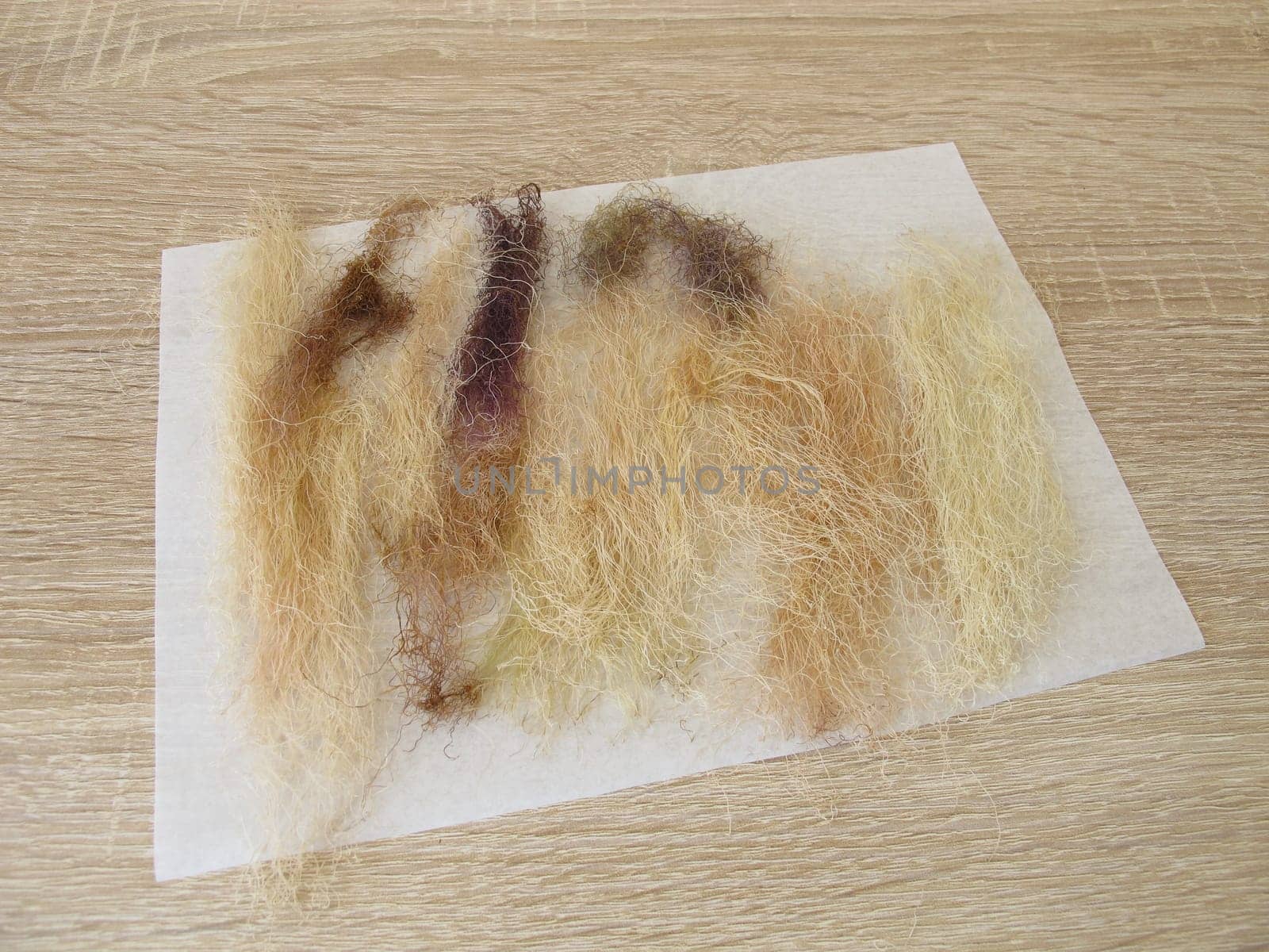 Dried corn bee,Maydis stigma