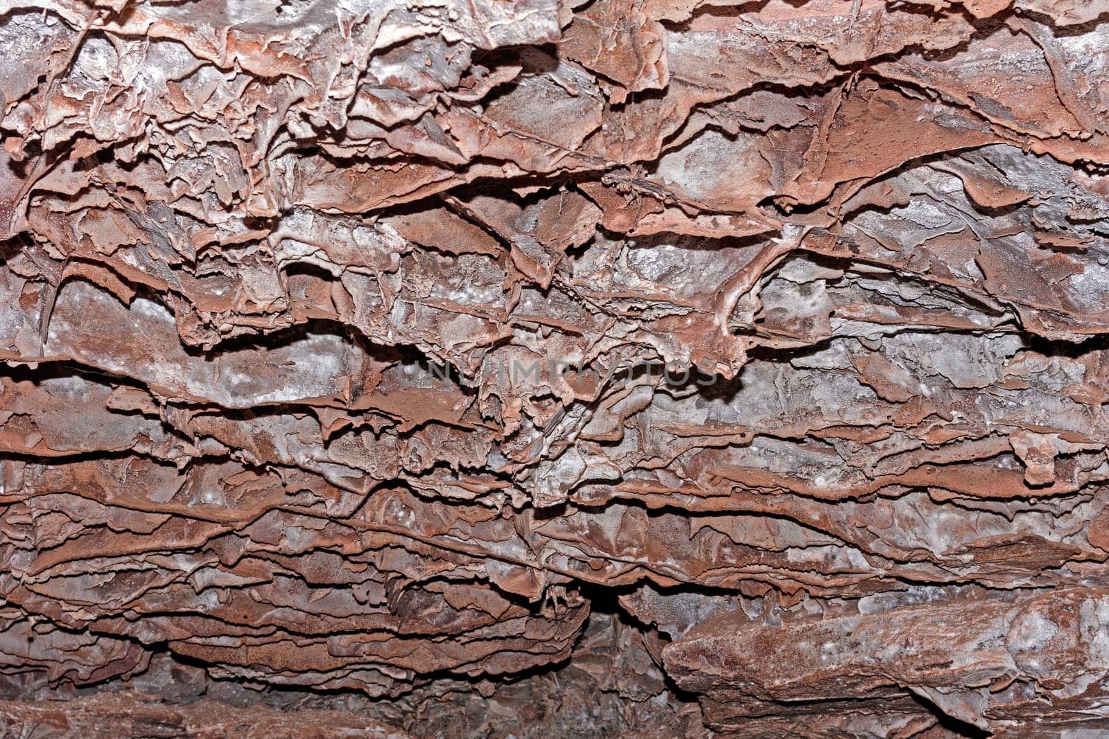 Boxwork Designs in a Wind Cave National Park in South Dakota