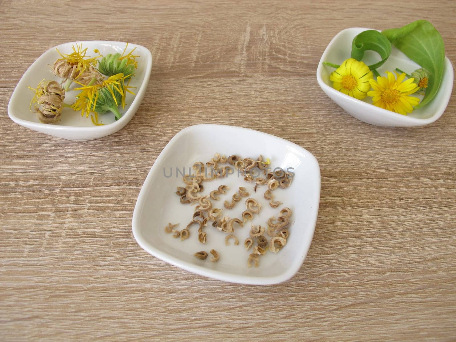 Seeds of marigolds