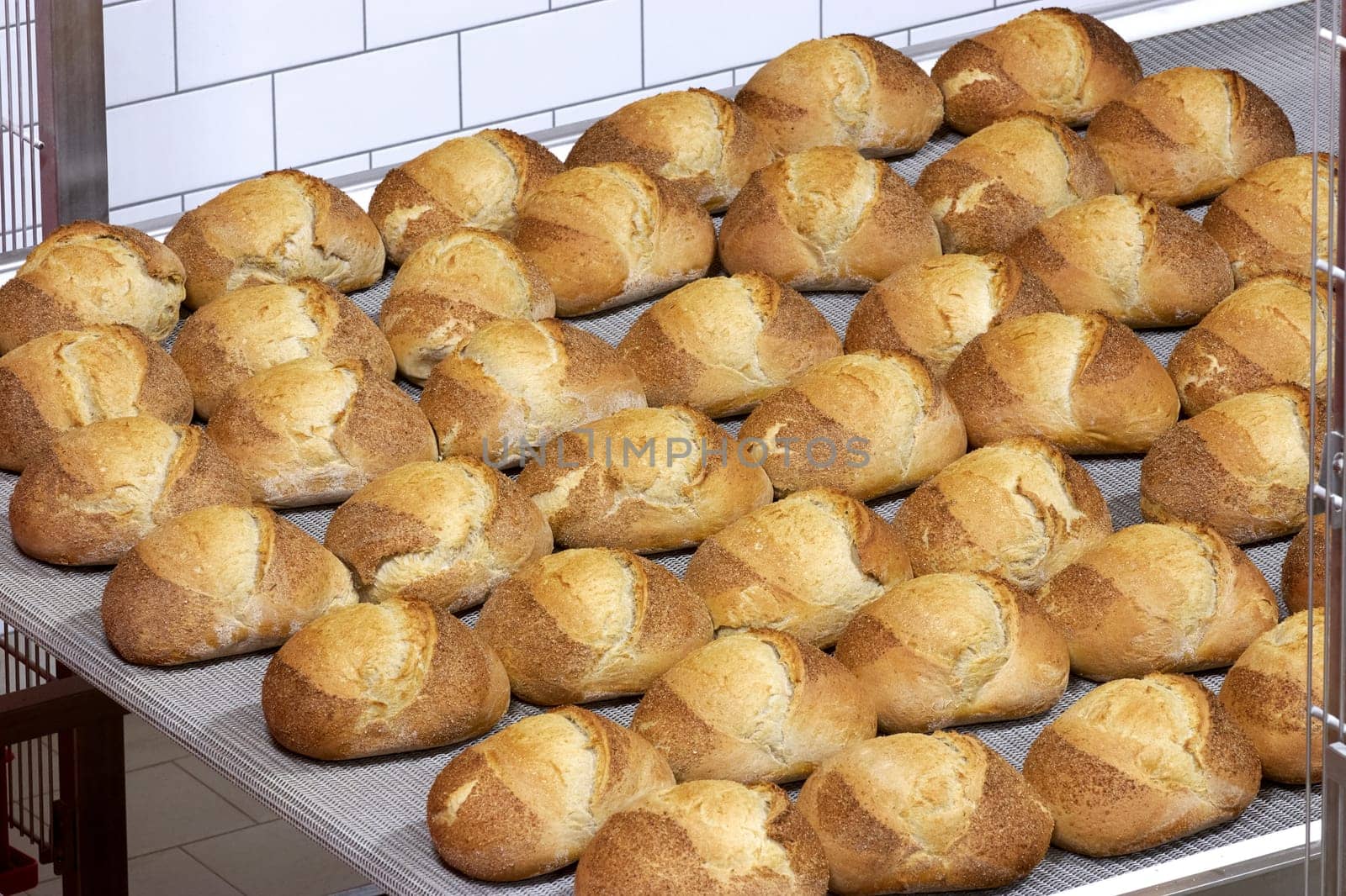 Industrial bakery line process of bread production