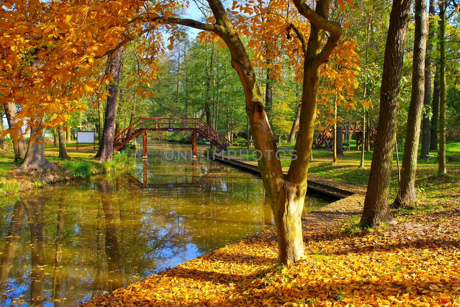 Raddusch Naturhafen im Spreewald - Spree Forest harbour in Raddusch in fall