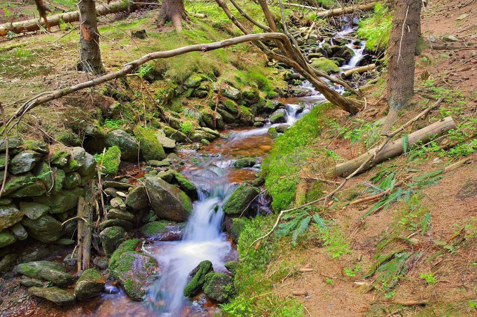 Gruenbach im Riesengebirge - creek in the Giant Mountains in Bohemia
