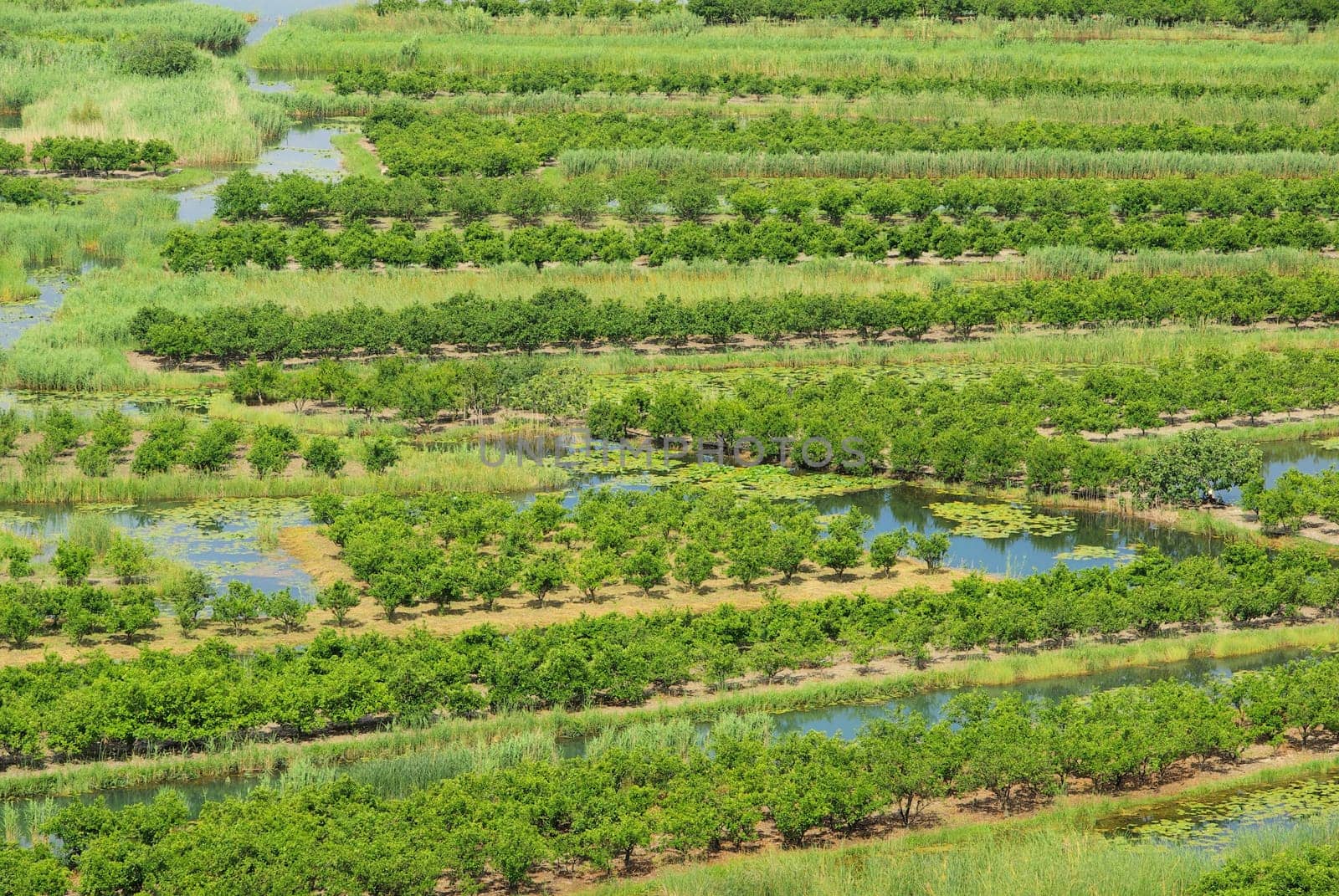 Neretva Delta 24