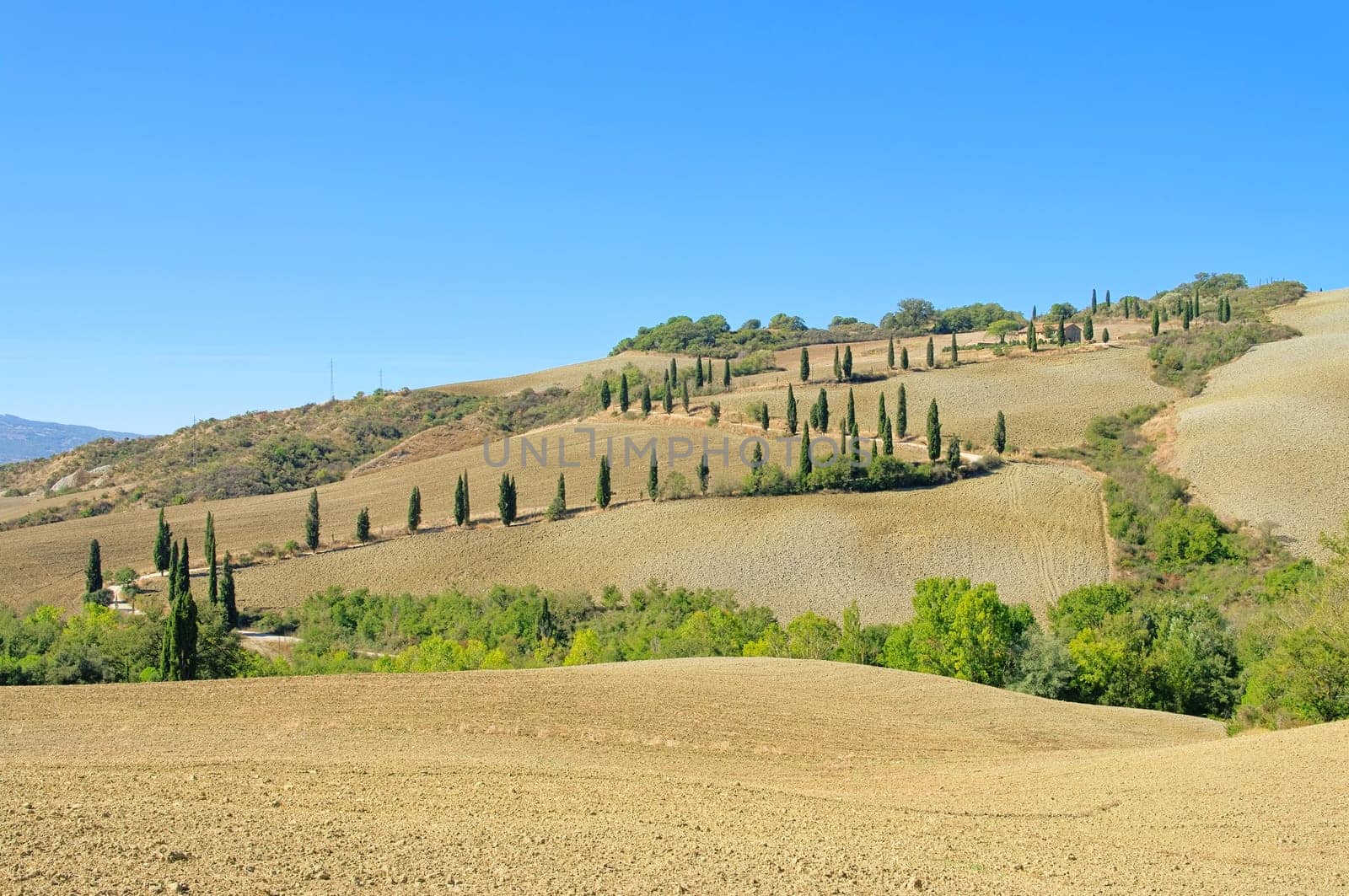 Zypressenkurve im Herbst - cypress curve in fall 13