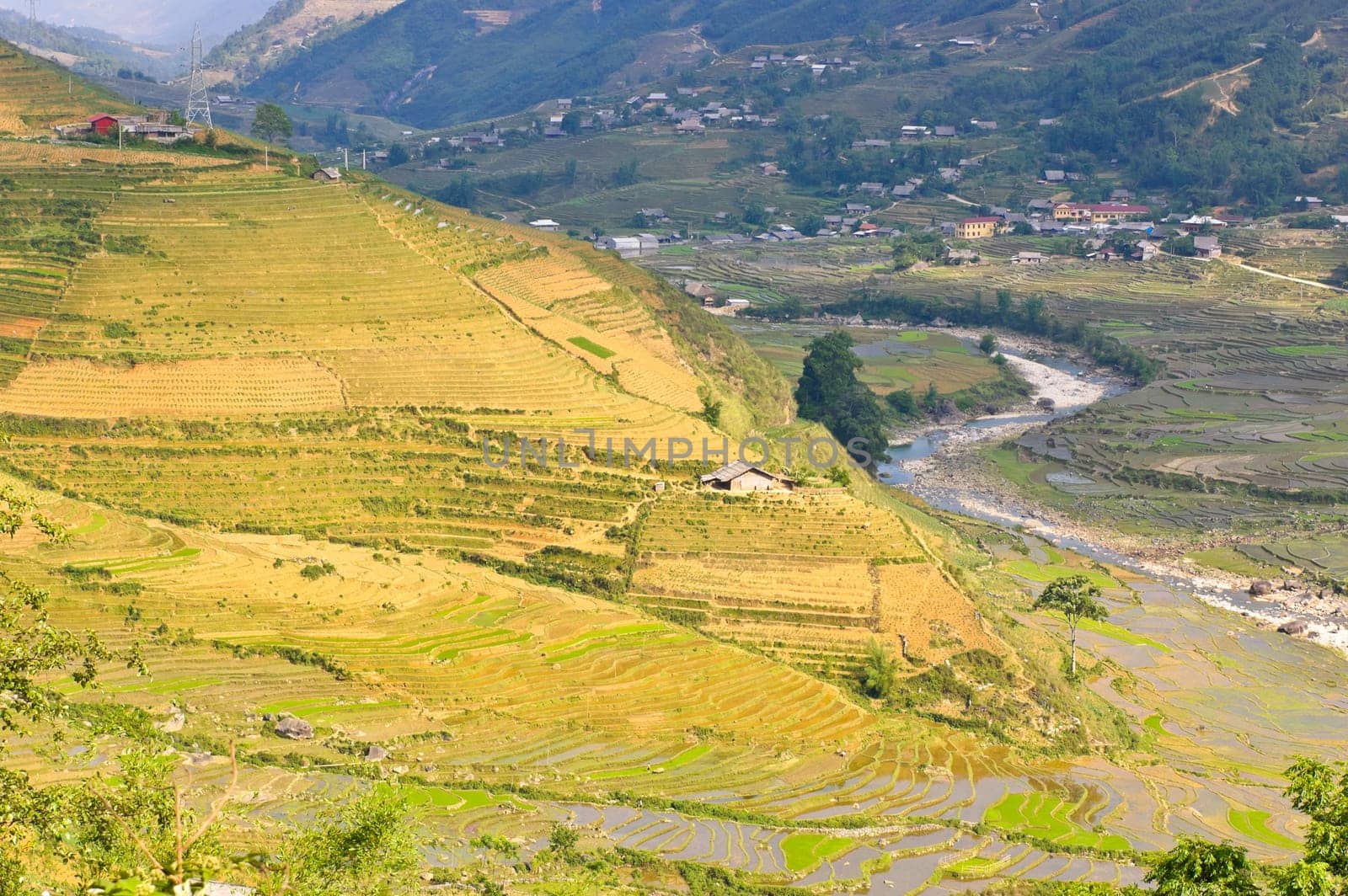 Rice terraced field in hill tribe of Sapa, Vietnam