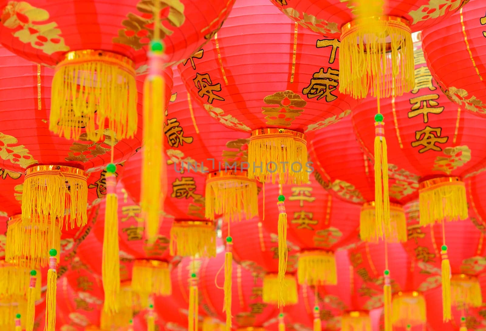 Chinese red lantern (decoration for Chinese New Year Festival)