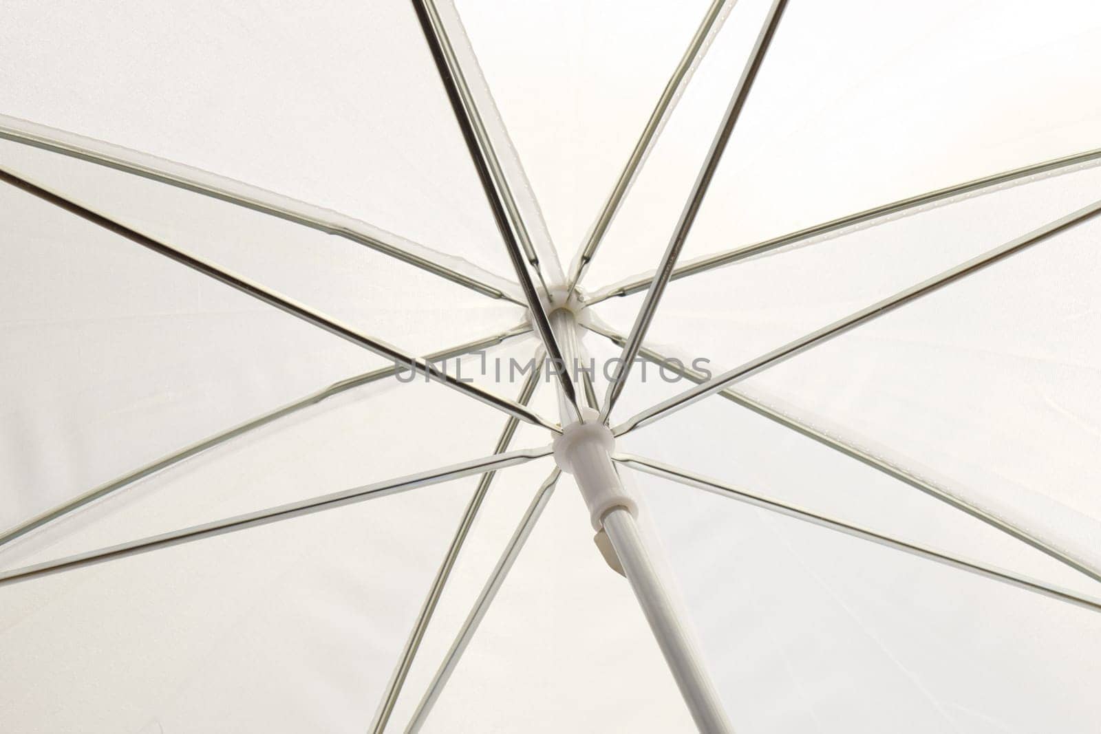 Transparent screen for photography