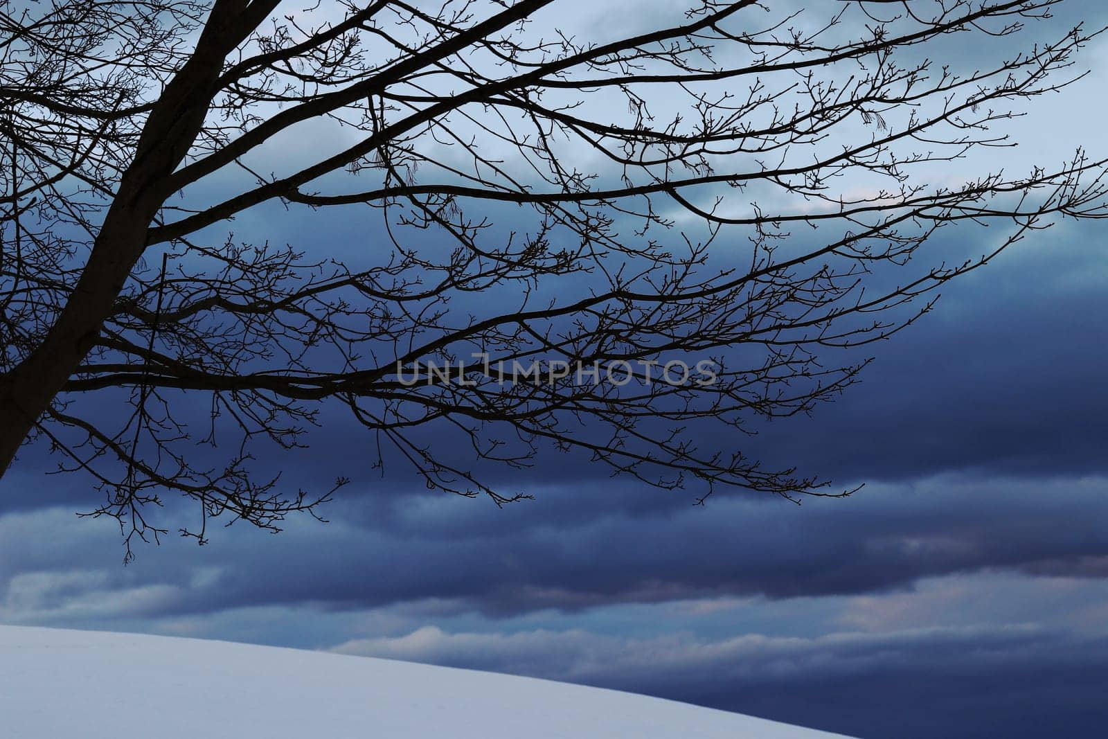 In the evening comes a snowstorm. Winter thunderstorm with snowstorm