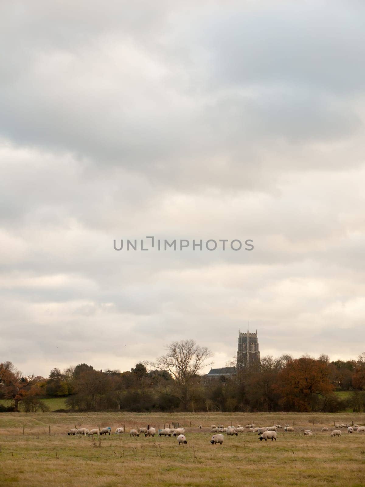 church tower skyline white clouds landscape background  essex  england  uk