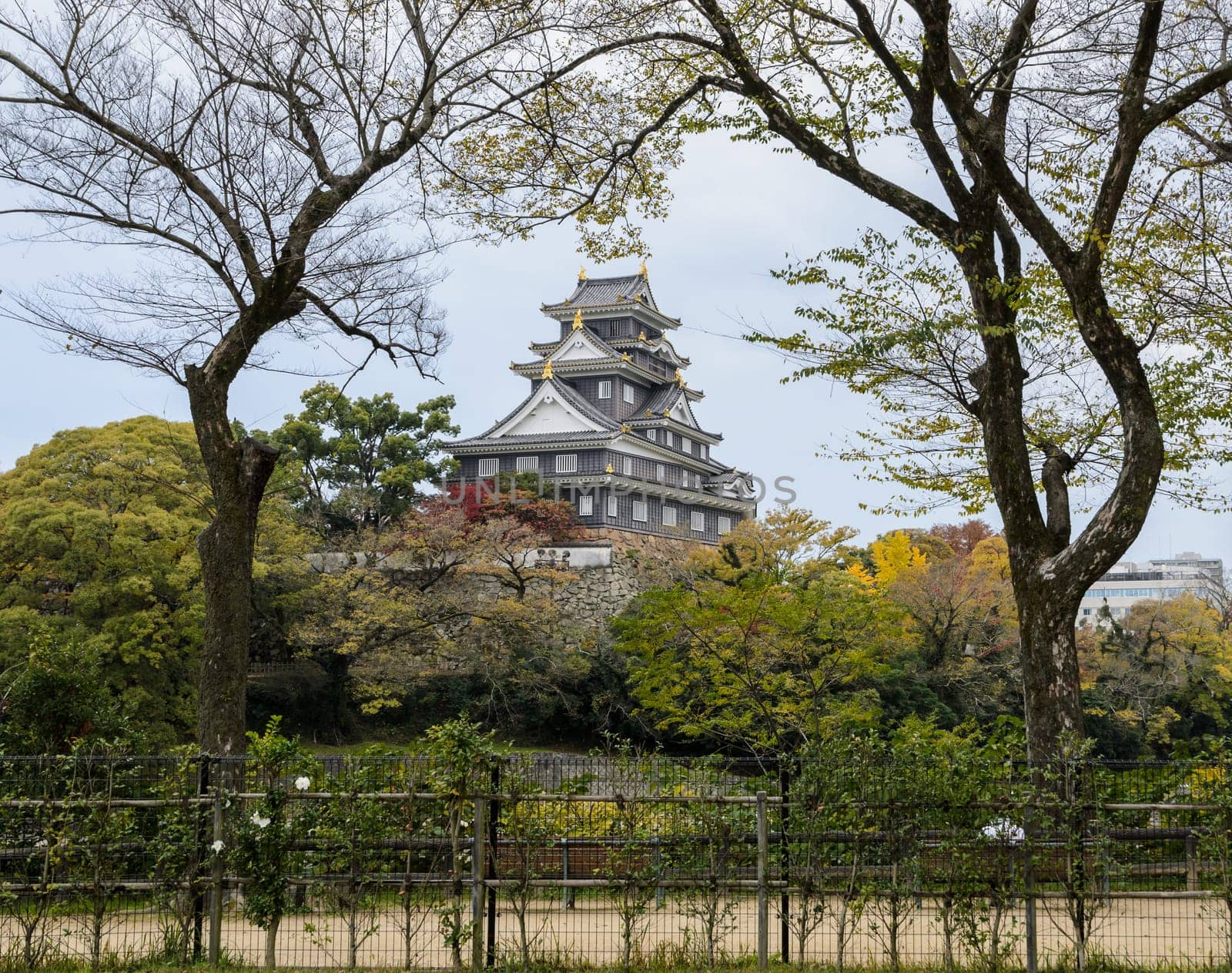 Stunning view of Okayama Castle in autumn season, Okayama, Japan