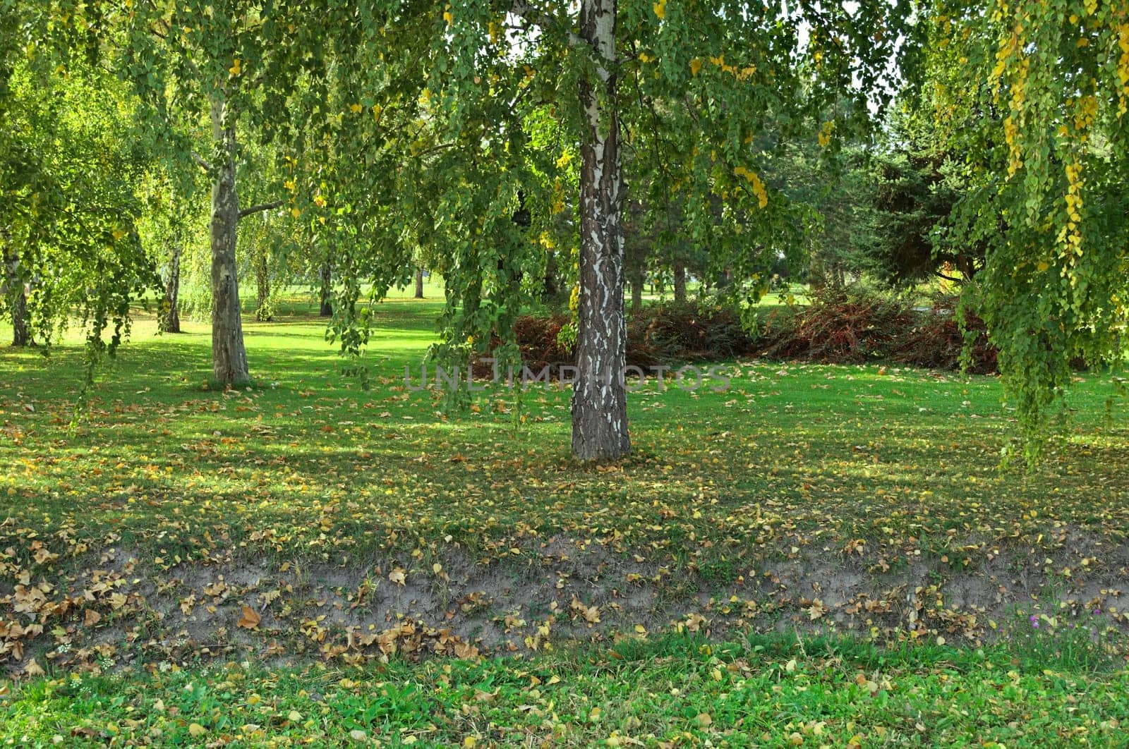 View at park in early autumn
