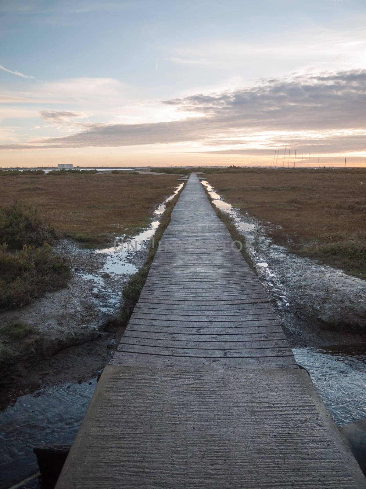 wooden walkway path leading ahead empty no people beach landscape  west mersea, essex, england, uk