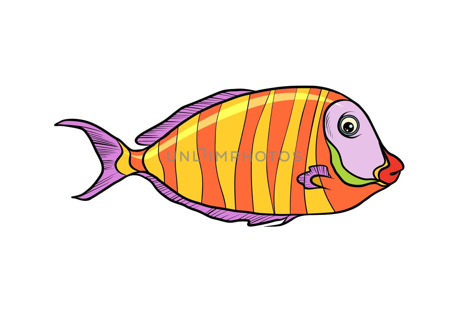 cichlid aquarium fish. Isolated on white background. Pop art retro vector illustration