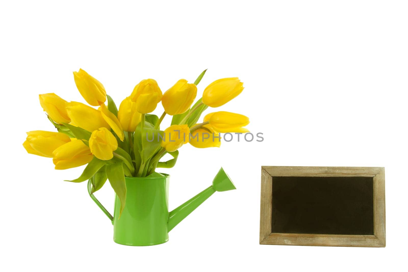 Yellow tulips with an empty board