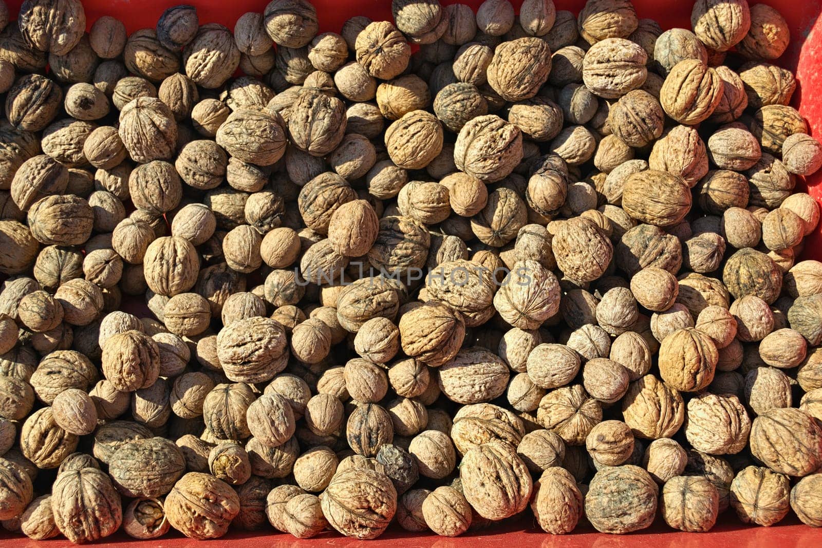 Abundance of walnuts on one pile, close up