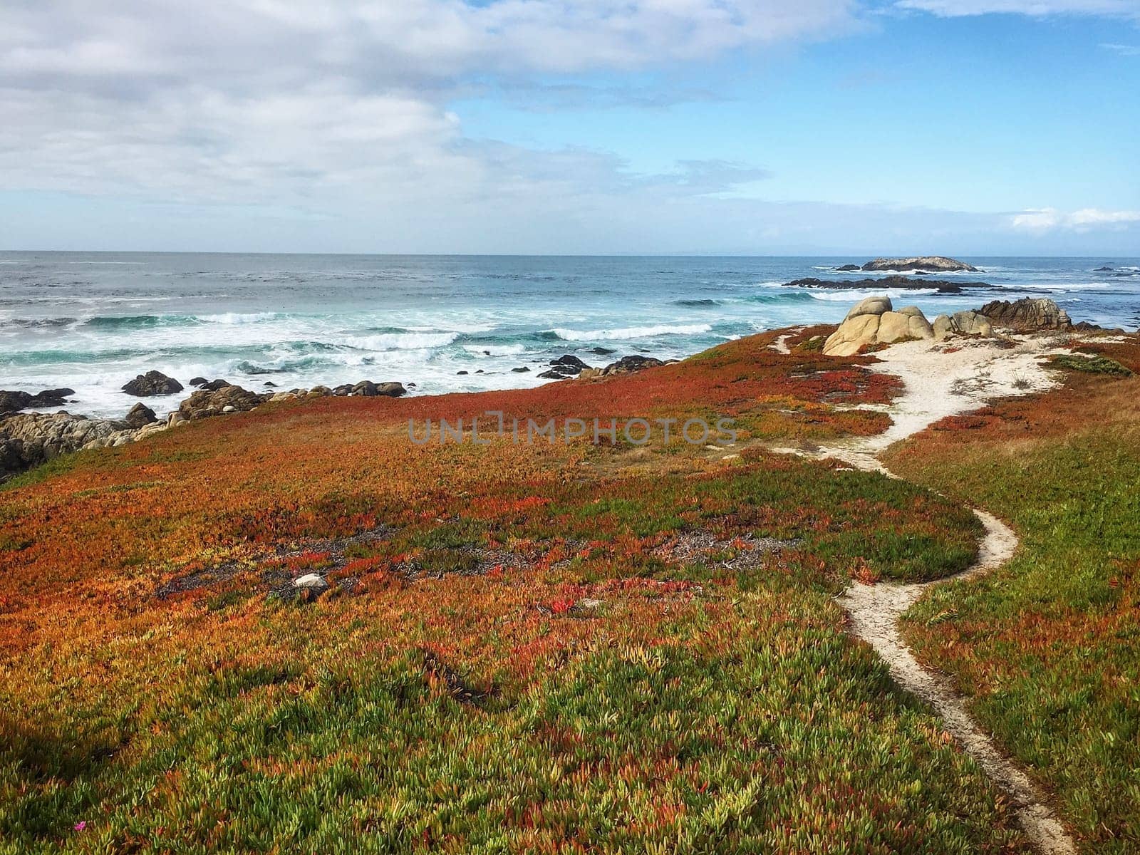 Pacific ocean cost in California, USA. Rocky beach in foreground and blue cloudy sky in background.