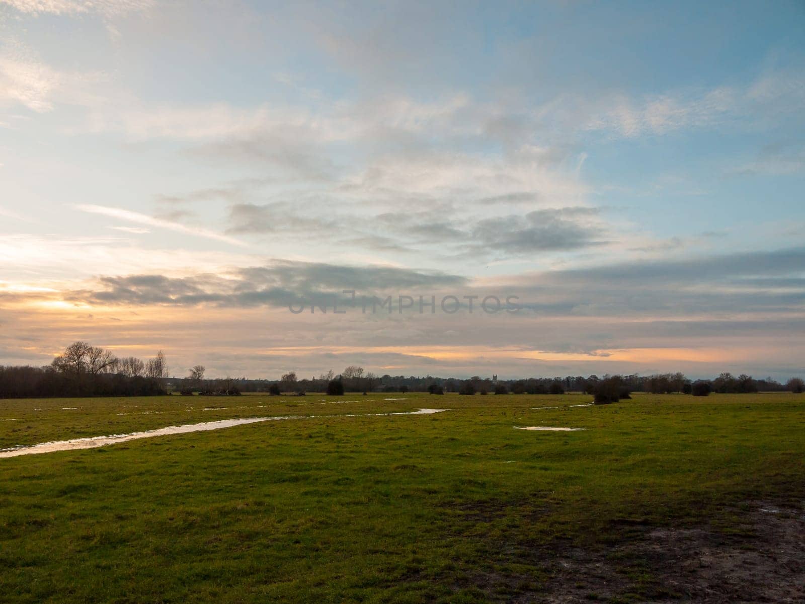 empty wet grass field low light sunset landscape dedham plain empty no people  essex  england  uk