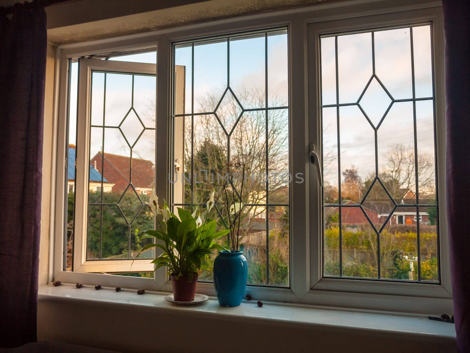 double glass window from inside bedroom vase flowers  essex  england  uk
