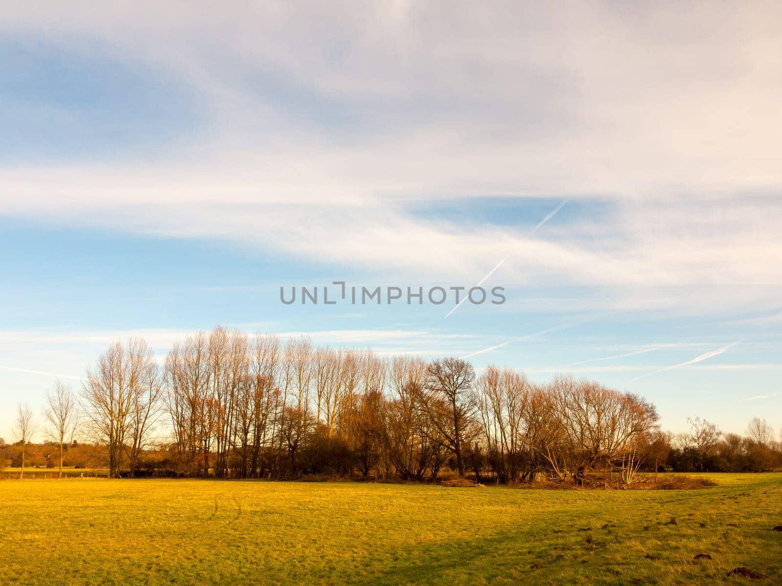 country landscape empty open space tree line sky  essex  england  uk