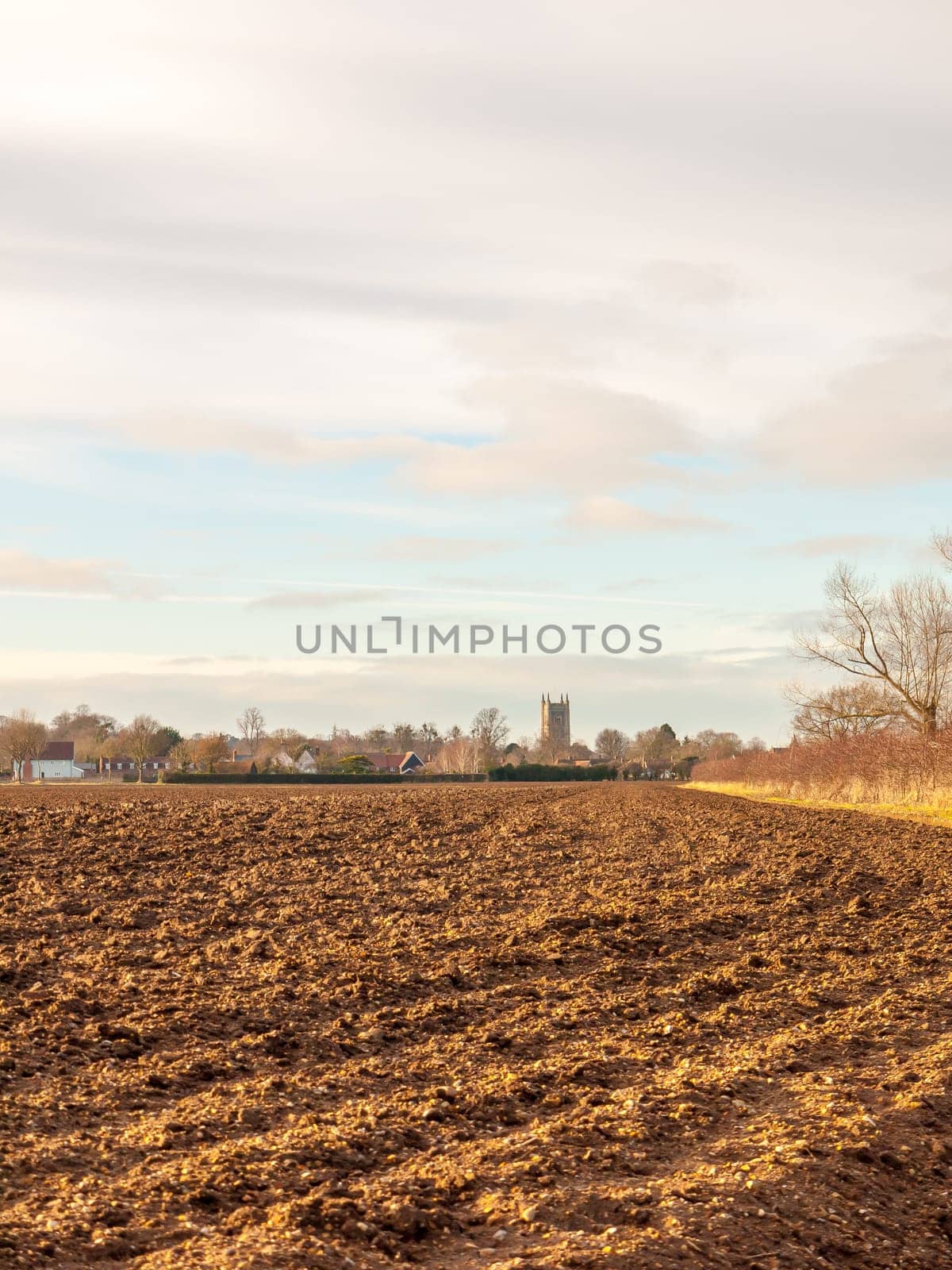 brown ploughed agricultural field outside farm landscape sky ground dirt tree  essex  england  uk