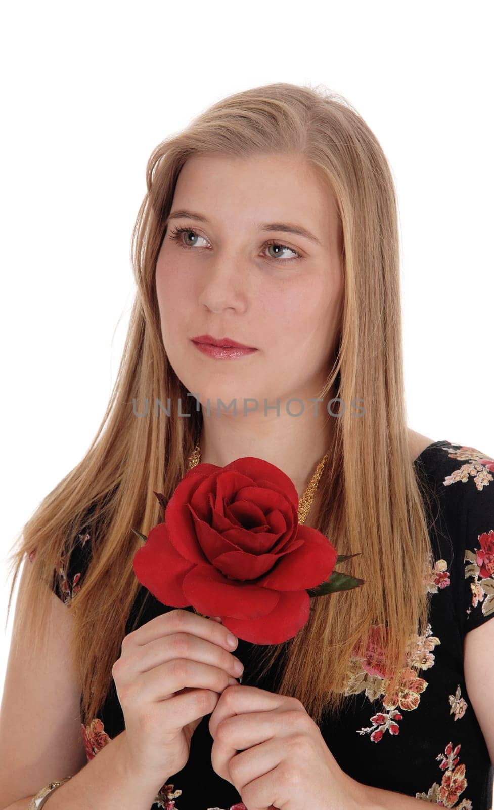 A beautiful young woman with long blond hair looking away and .dreaming holding a red rose in her hand, isolated for white background.