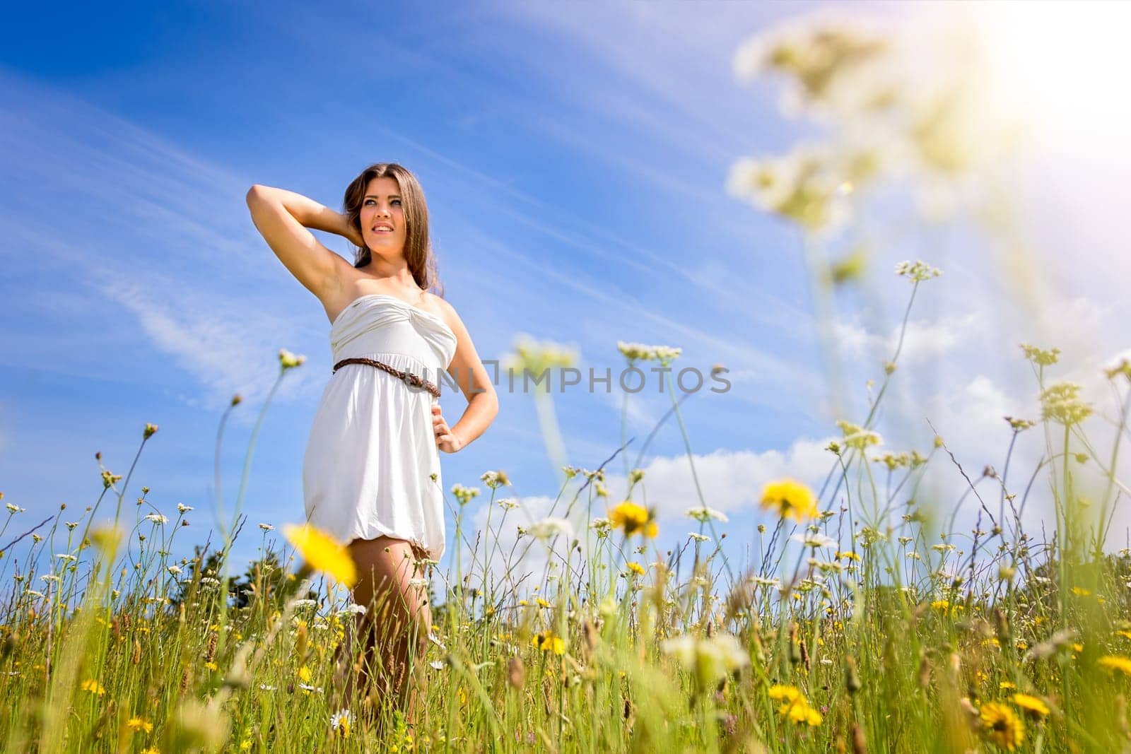 Beautiful girl in field of flowers