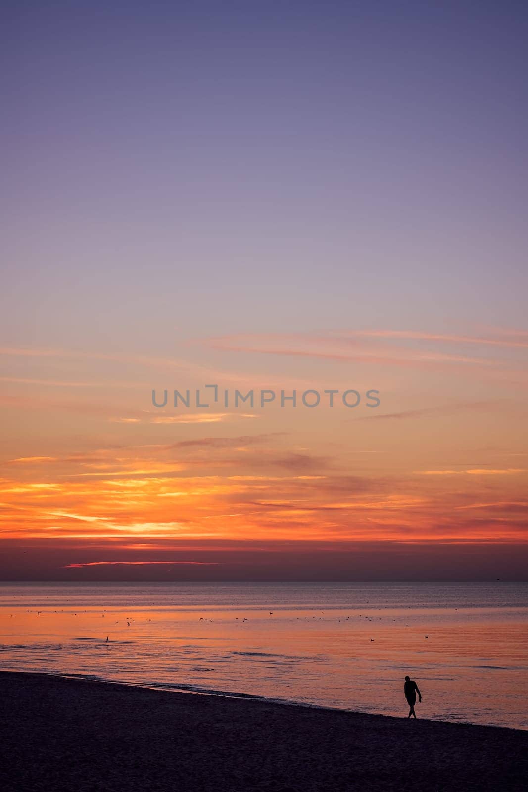 Unidentified lonely man walking on the sea beach in summer at sunset