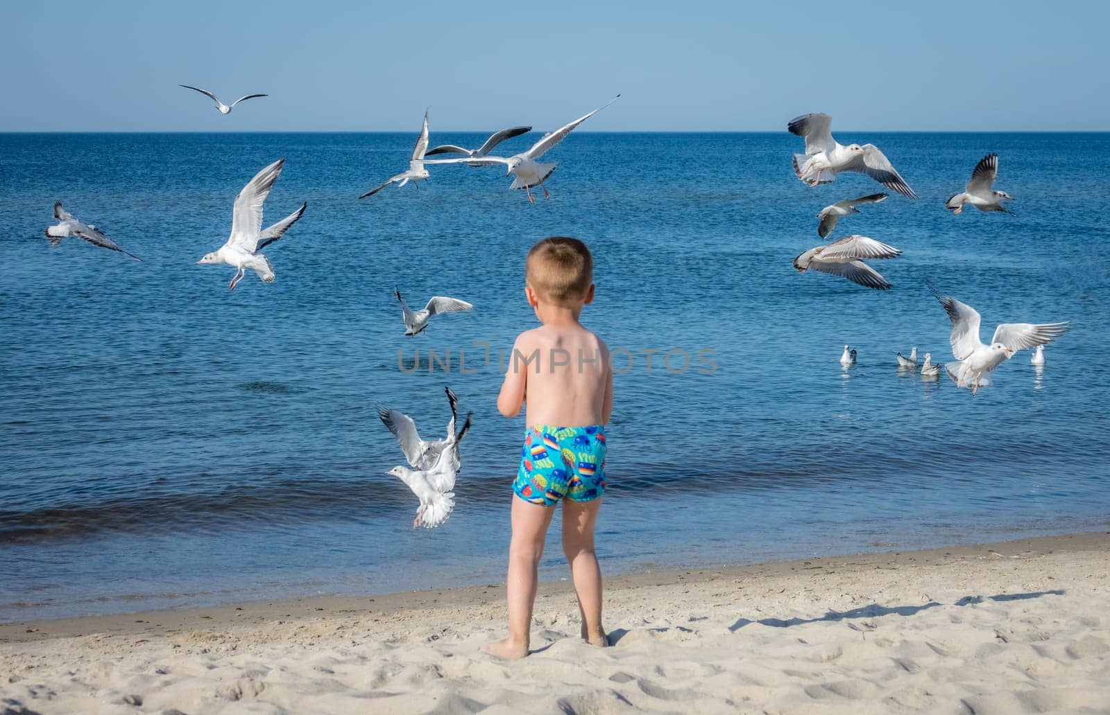 Little caucasian boy standing in the sea and throwing pieces of bread to white seagulls