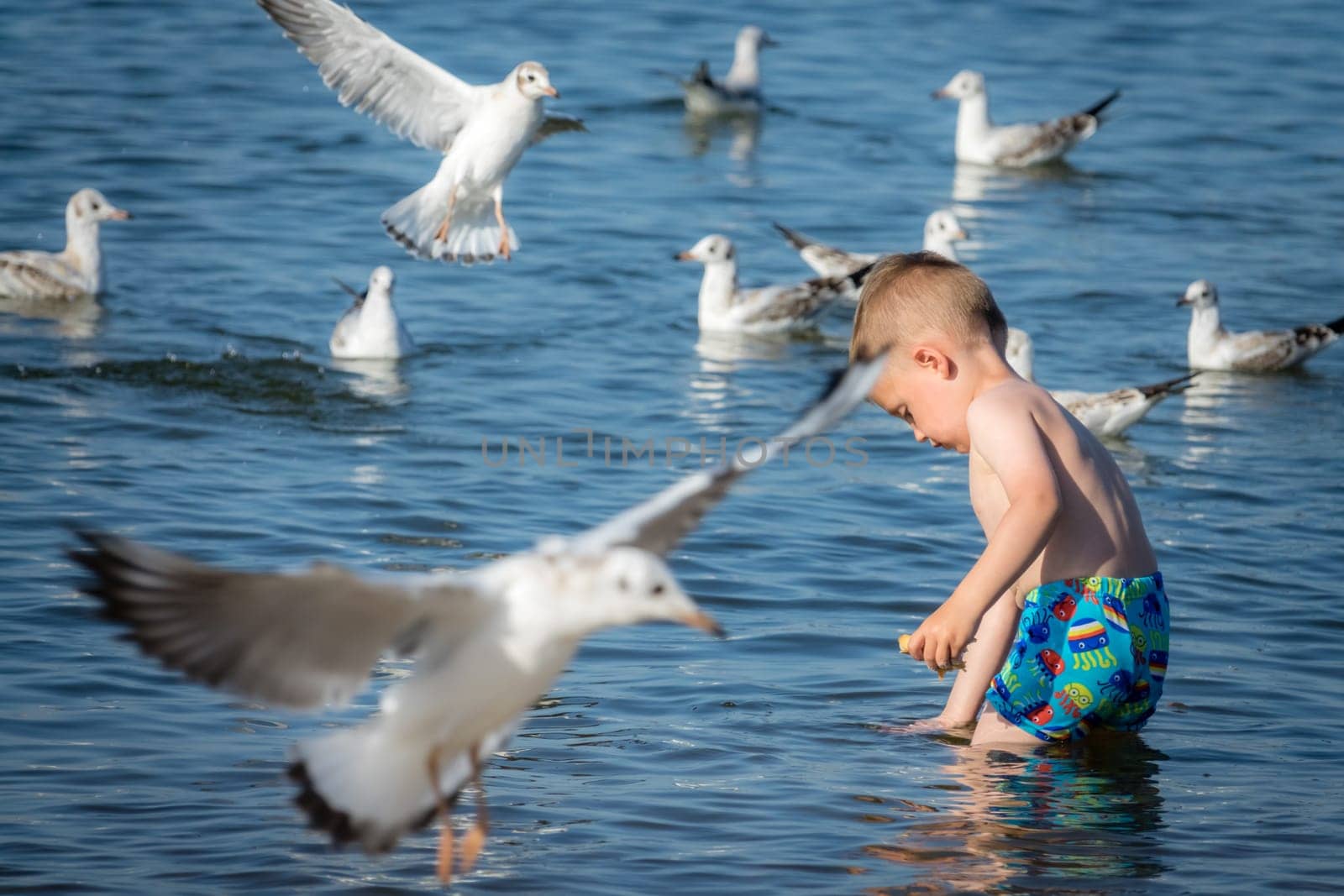 Little caucasian boy standing in the sea and throwing pieces of bread to white seagulls