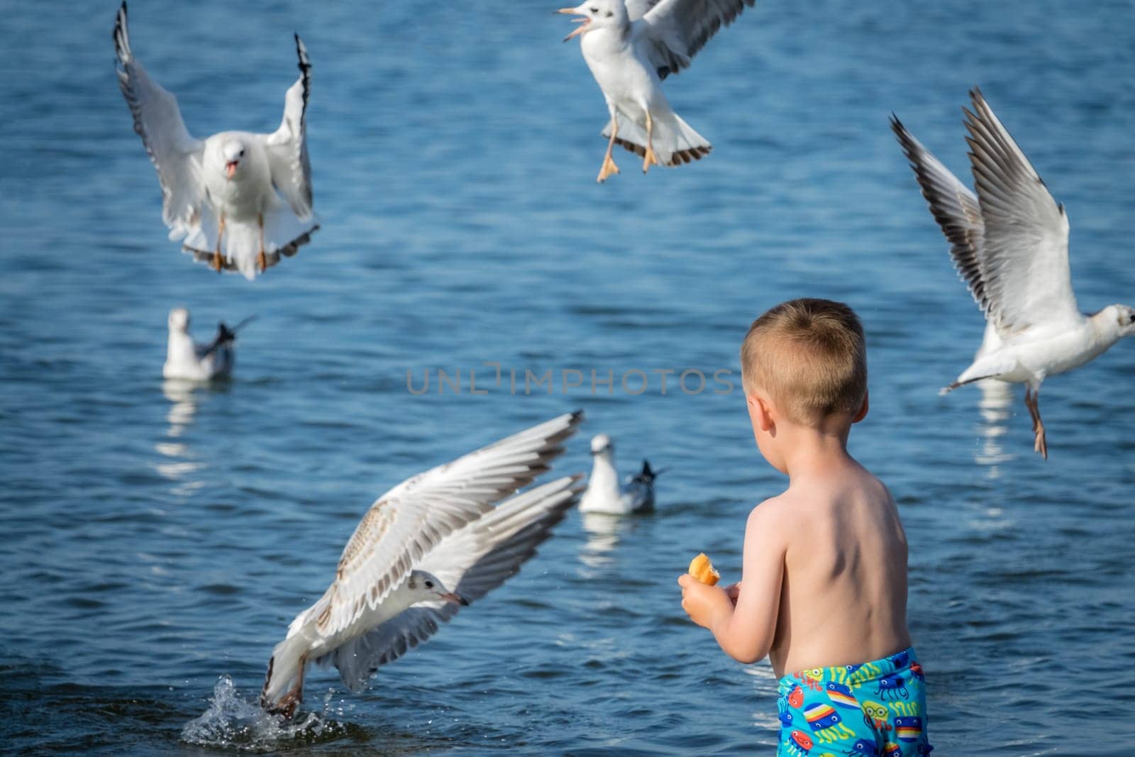 Little caucasian boy standing in the sea and throwing pieces of bread to white seagulls