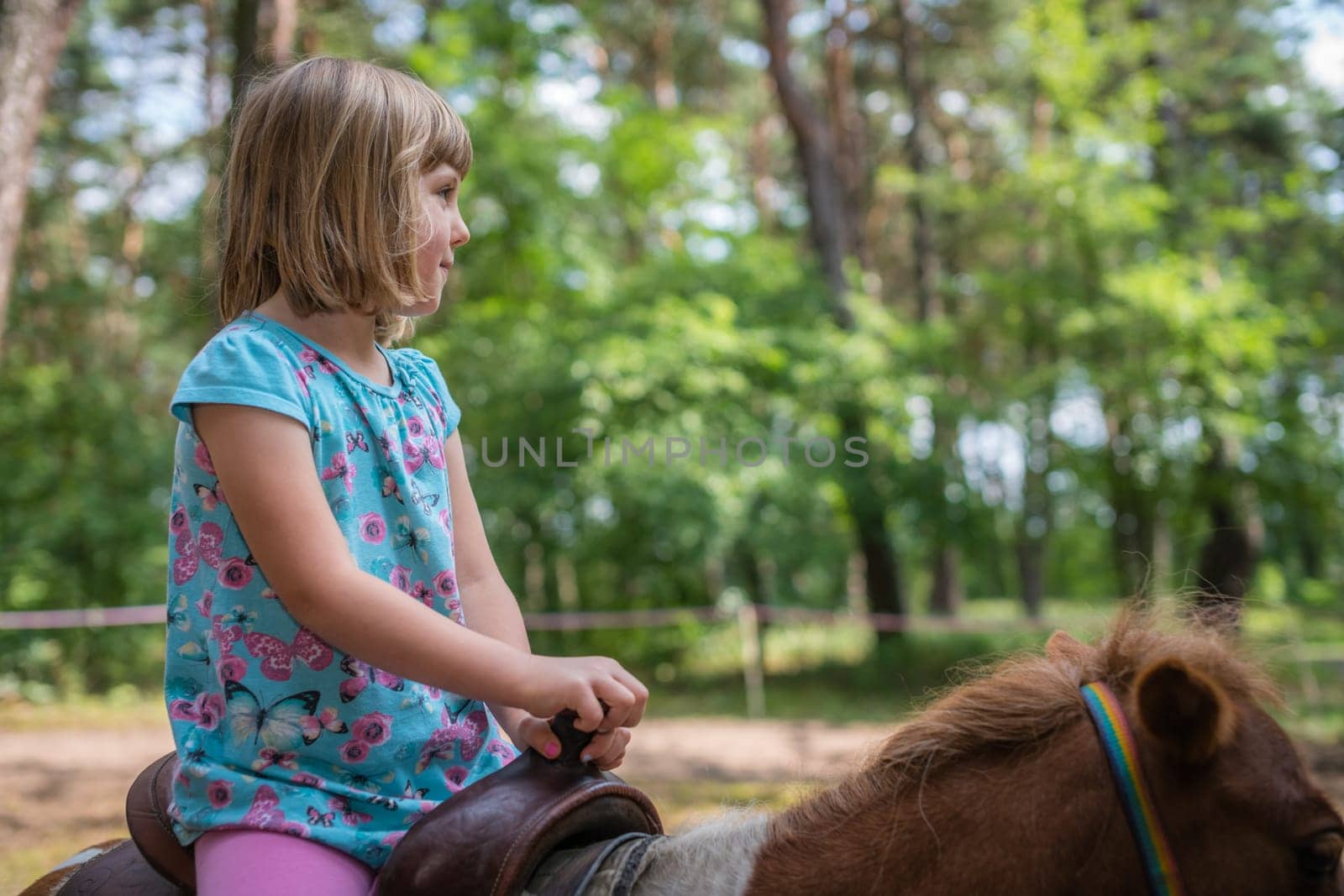 Cute little Caucasian girl riding on a little pony