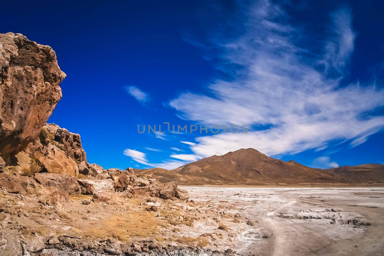 Dry land plain in the Altiplano mountains near Salar de Uyuni in summer, Andes, Bolivia