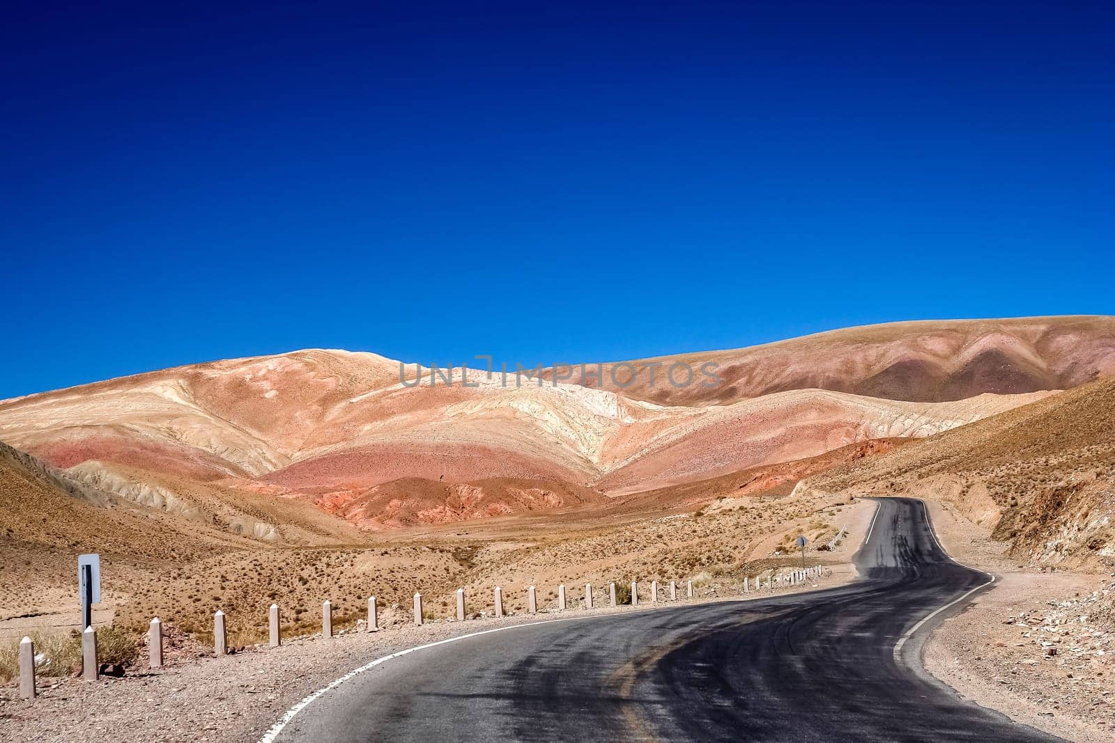 Empty road through dry, cactus ridden landscape  in the northern part of Argentina