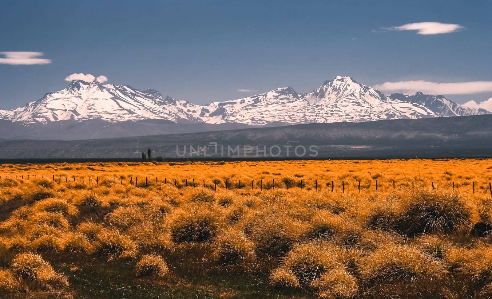 Wide grassland with the Andes in the background, Patagonia, Argentina