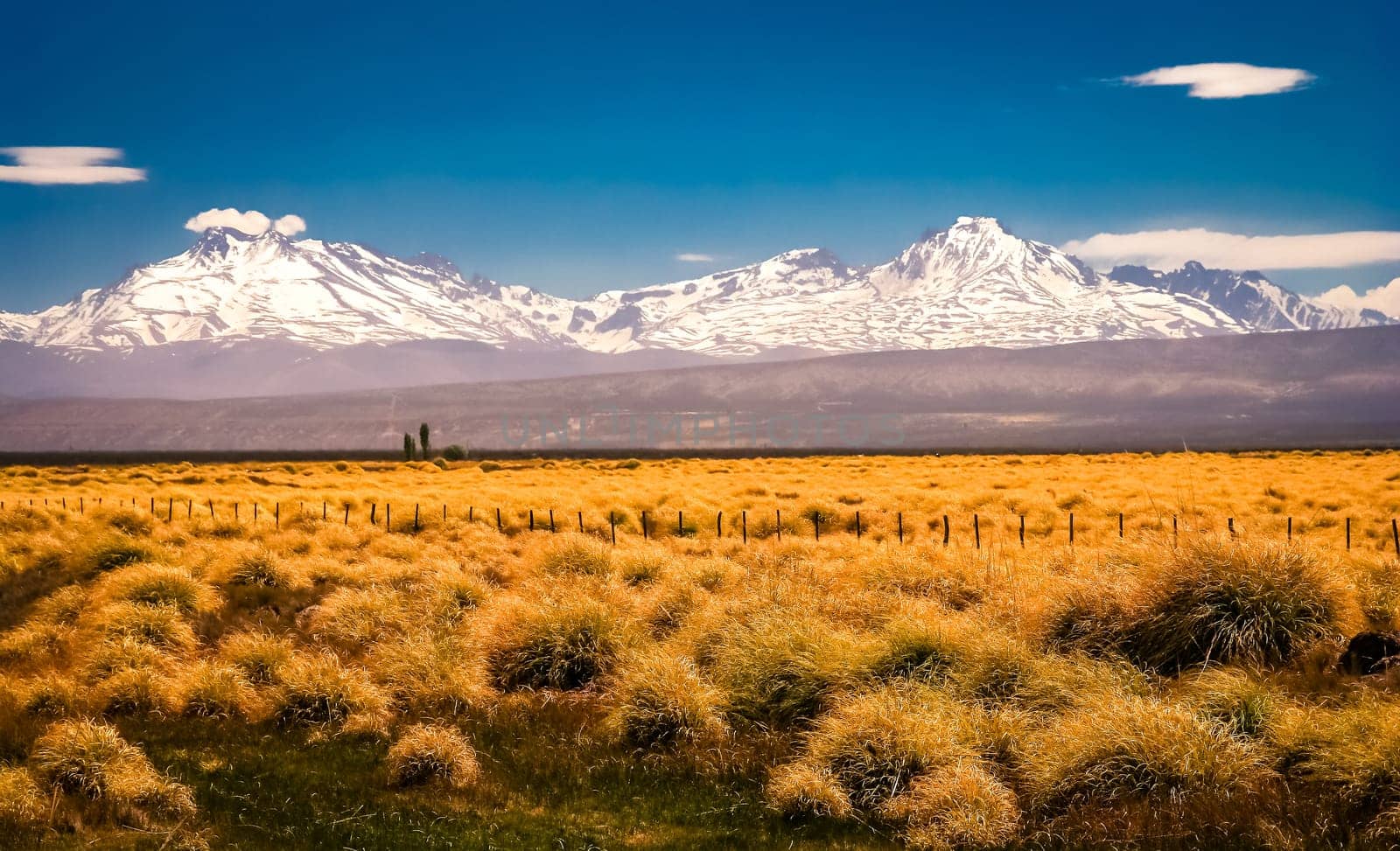 Wide grassland with the Andes in the background, Patagonia, Argentina