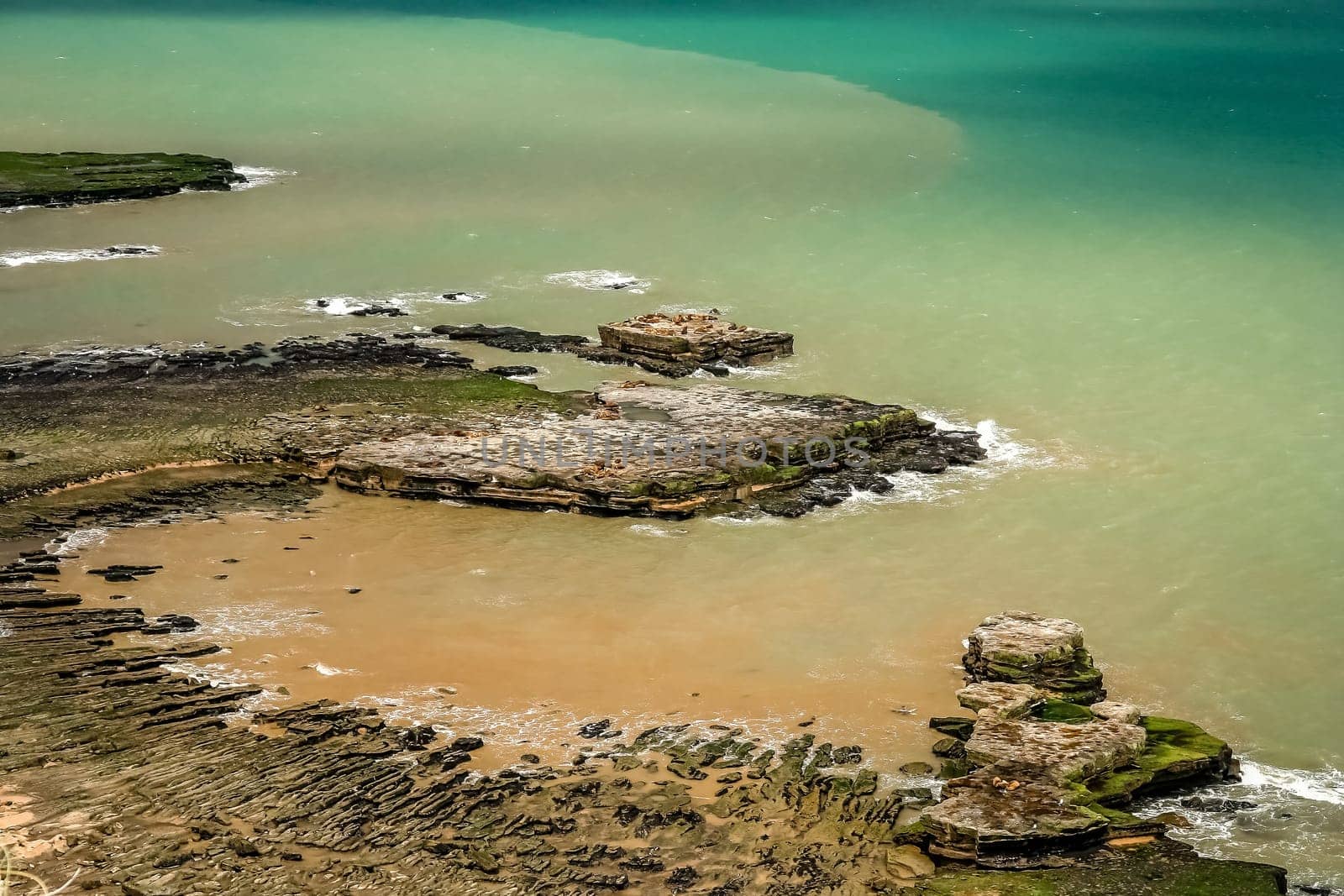 Sea lion colony on rocky patagonian coast near Punta Tombo, Argentina