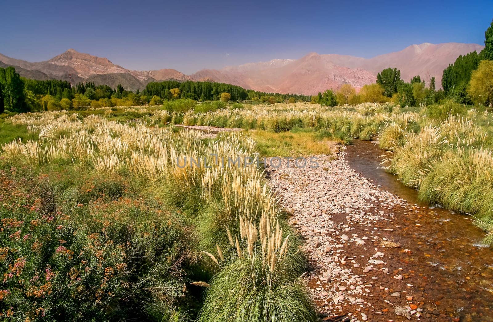 Beautiful Uspallata Valley in the argentinian Andes, central Argentina