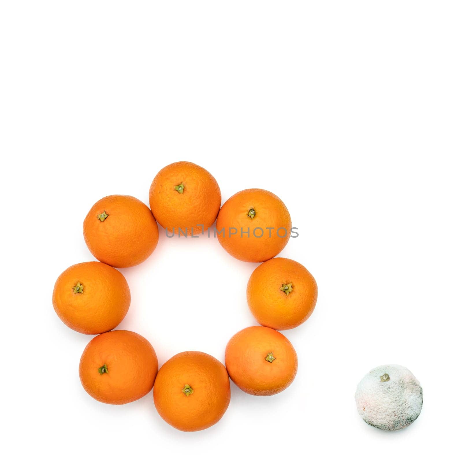 Moldy orange out of the circle of the good ones. Concept for the bad ones out of the good ones.