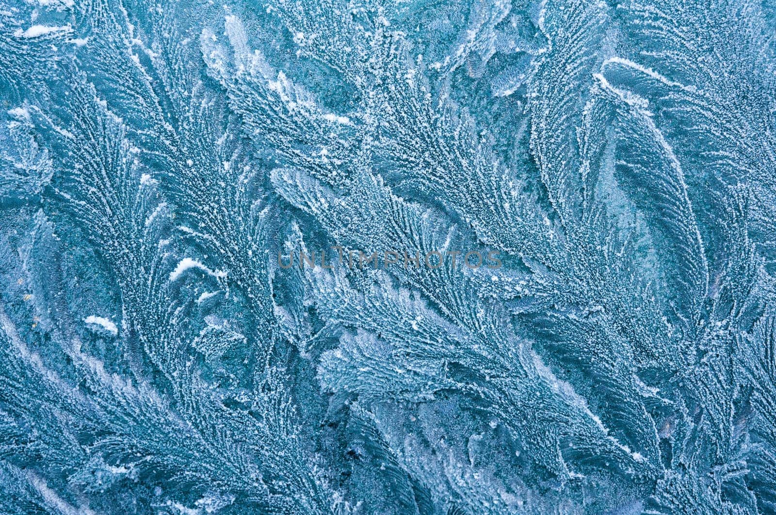 Iceflowers, frozen.The ice-cold frost forms ice crystals in beautiful unique patterns