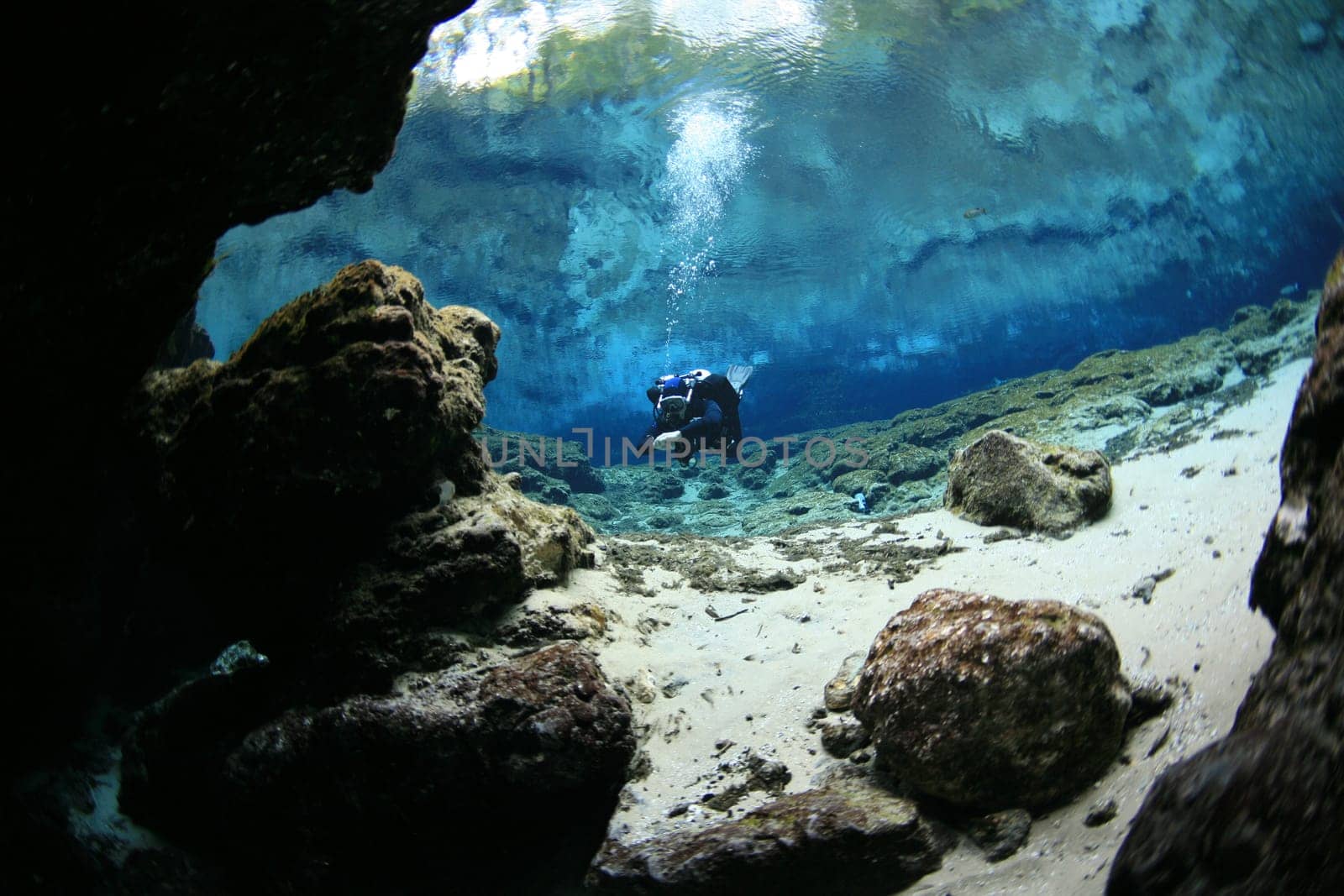 divers underwater caves diving Florida United States of America
